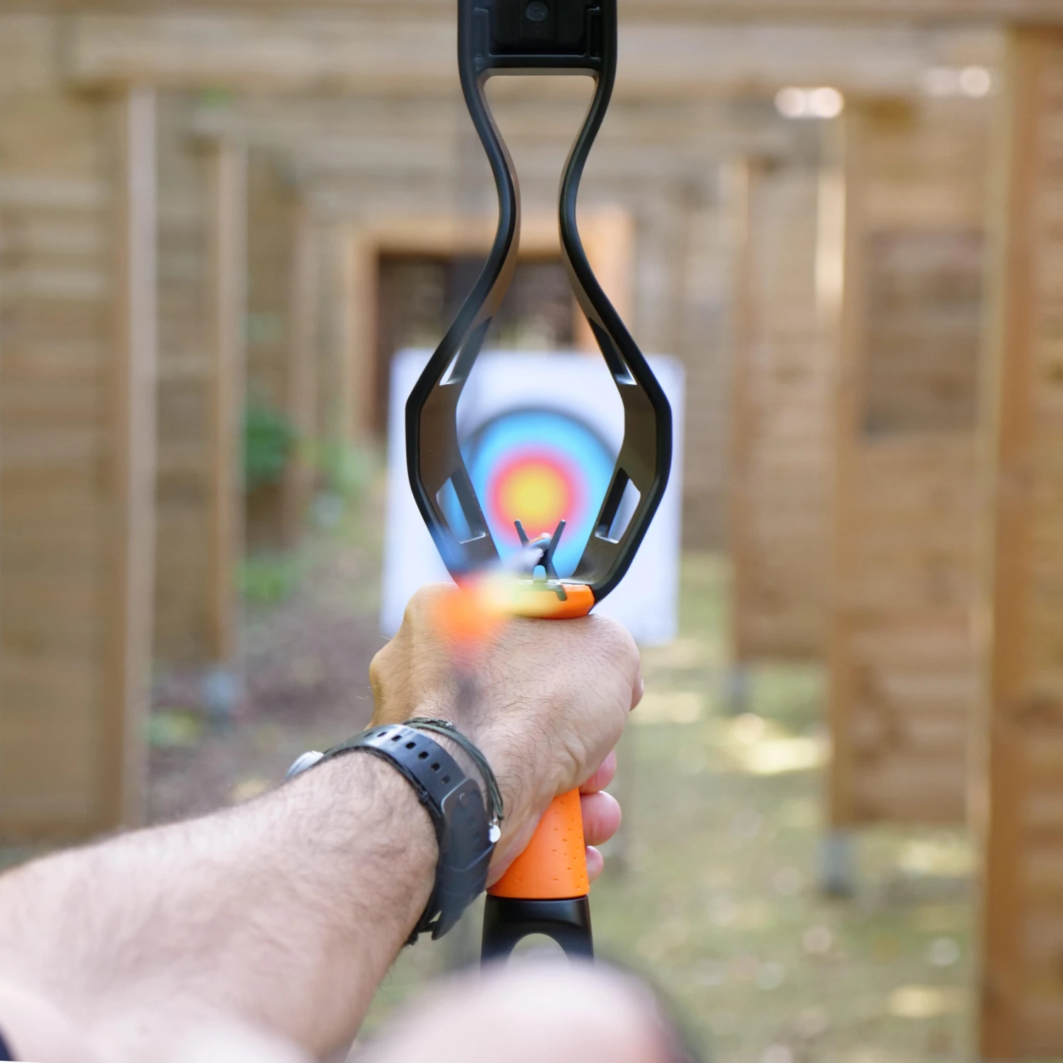 Archery Bow Discovery 300 - Image 2