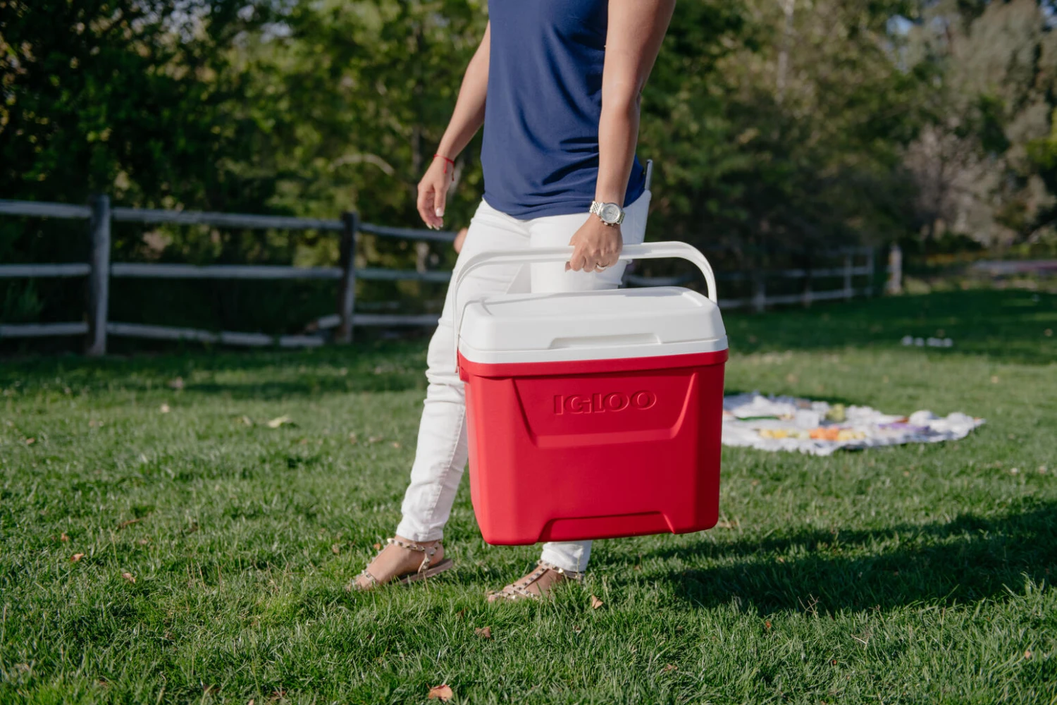 IGLOO Laguna 28QT Cool Box Red - Image 4